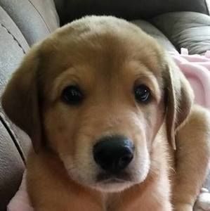 Meet your Posher, Elaine